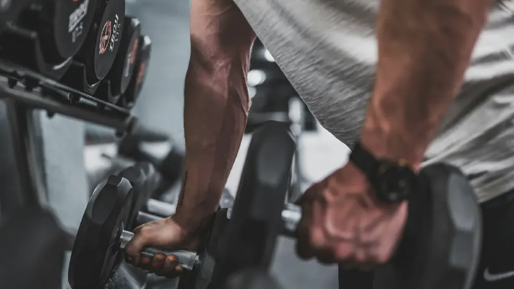 Halteres ajustáveis e fixos organizados em um espaço compacto de treino em casa