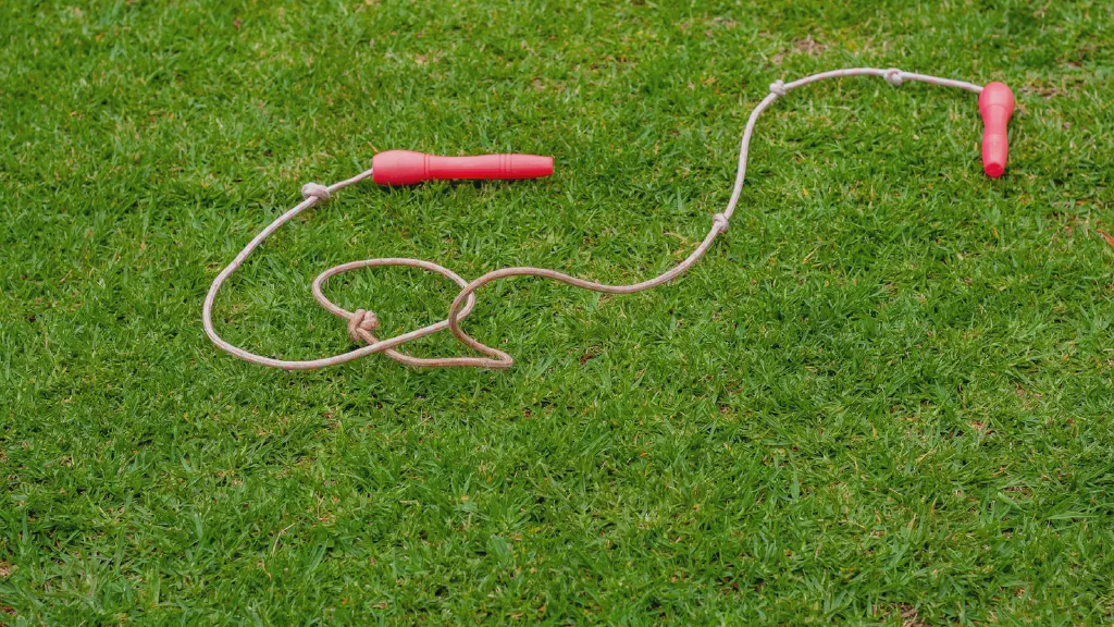 A selection of jump rope formats for beginner fitness, including a PVC-style speed rope, a segmented beaded rope and a lightly weighted rope.