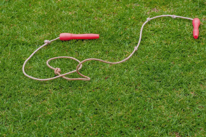 A selection of jump rope formats for beginner fitness, including a PVC-style speed rope, a segmented beaded rope and a lightly weighted rope.