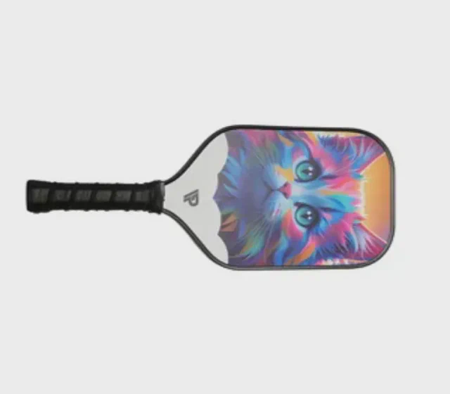 Standard Carbon Fiber Paddle Sport Pickleball Paddle Sr-LG01 mostrada en su ficha de proveedor de Made-in-China