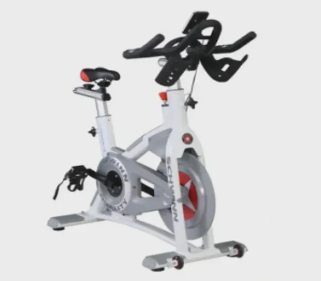 2024 Popular Schwinn Commercial Spinning Bike with LED Monitor shown in its Made-in-China supplier listing